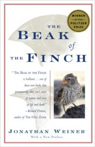 beak of the finch